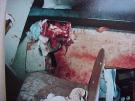 gore